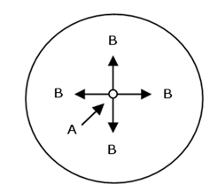 Circle